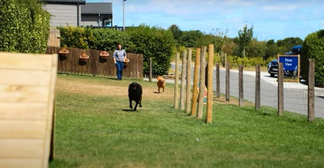 Honeycomb Lodge - Holiday Home 5 Min From Padstow Eksteriør bilde